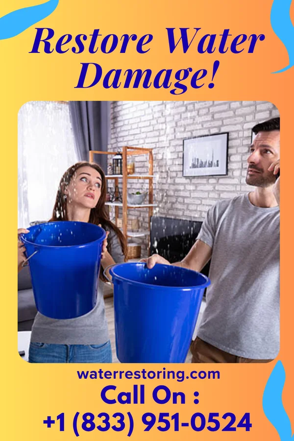 water restoration Southern Restoration Authority Wixom
